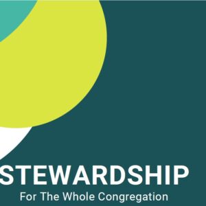 Stewardship for the Whole Congregation (eBook)